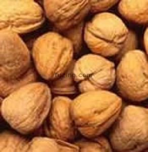 Walnuts