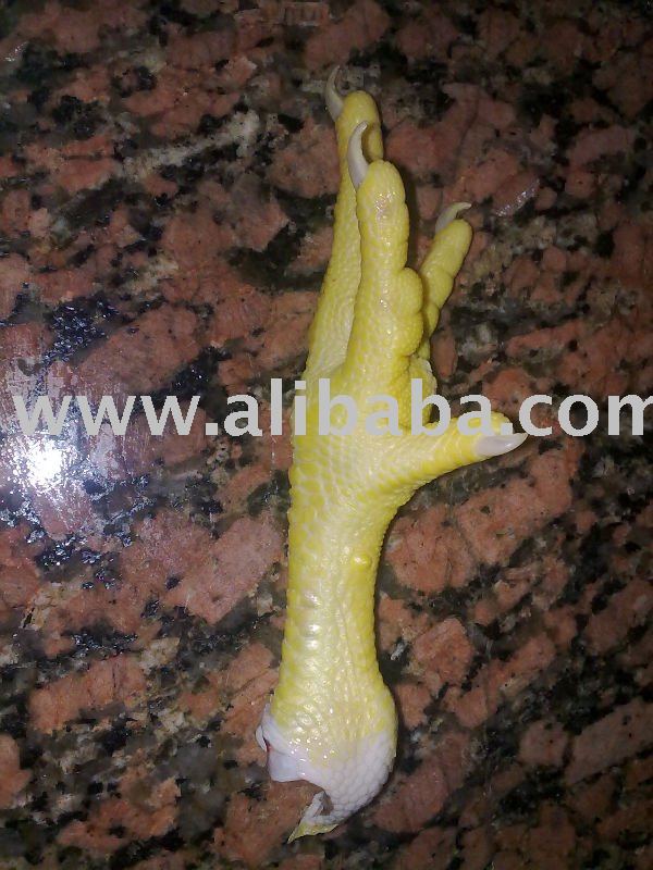 frozen chicken feet,Saudi Arabia price supplier - 21food