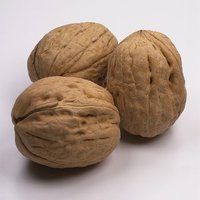 Walnut