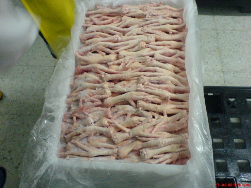 paw/feet/wings and other parts (processed and unprocessed CHICKEN )