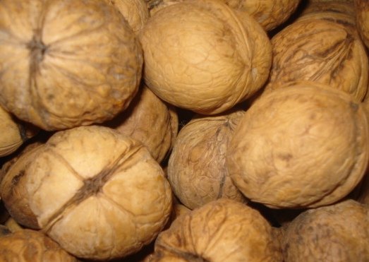 walnuts