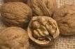 Walnut Kernels