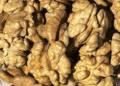walnut kernel