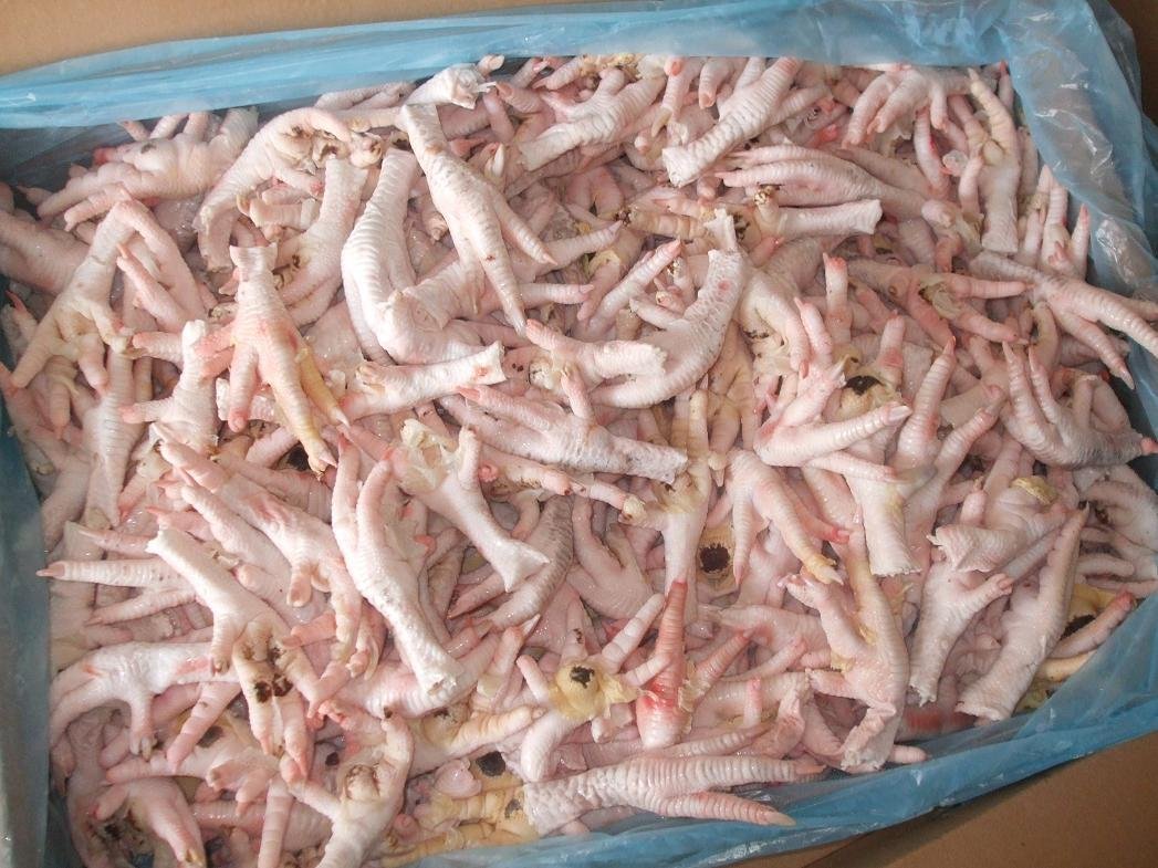 Frozen chicken feet for sale,Cameroon Frozen chicken feet price