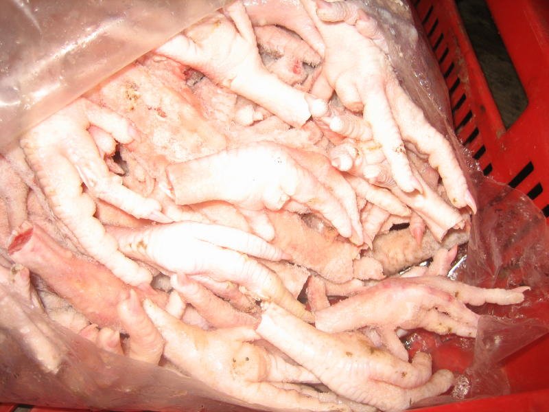 Chicken Feet and Chicken Paw