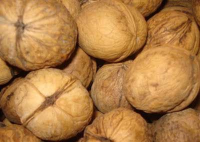 walnuts