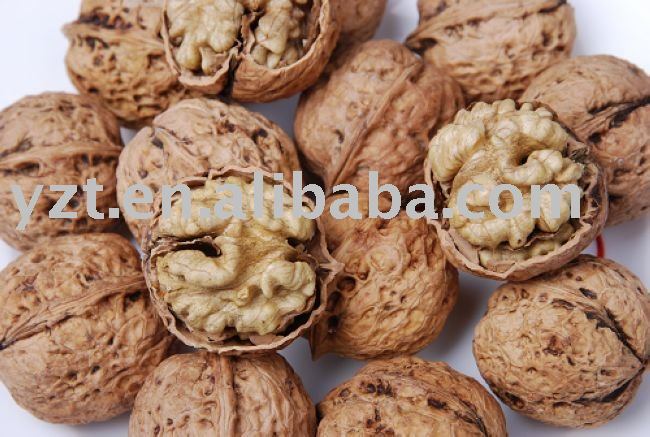 hot sale2010 newest thin shell walnut
