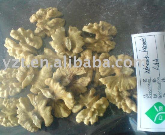 hot sale 2010 thin shell walnut meat