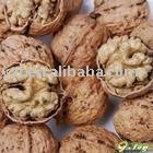  wholesale  top materials Walnut In  Shell 