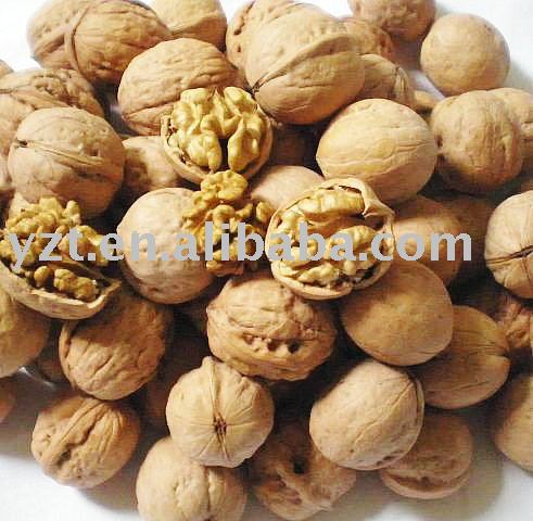low  price to supply  Walnut In Shell and walnut kernels