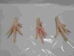 fresh  chicken   claws  and  feet s