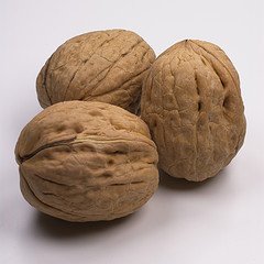 Walnuts