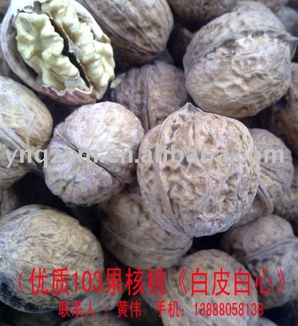 thin walnut,Organic walnut ,walnut