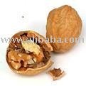 lega walnut