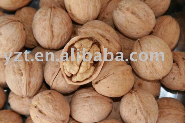 low price to supply 2010 crop walnut in shell