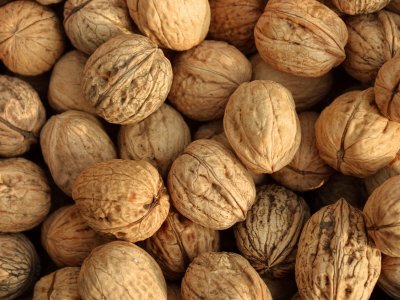 walnut and High quality Pistachio Nuts and other types of nuts ...