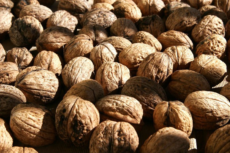 WALNUTS