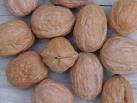 good quality walnuts