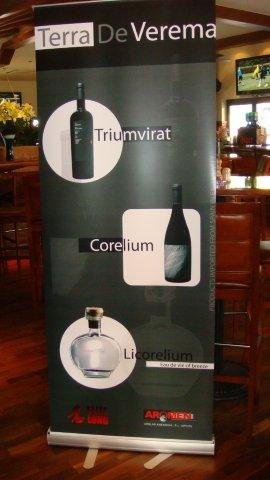 Wine (from Spain)