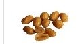 Bulk Candy Planters Salted Peanuts 21 lbs
