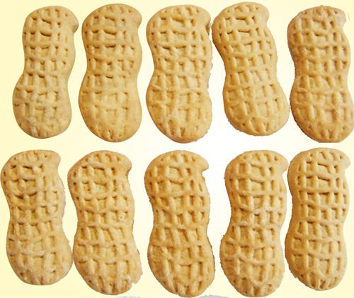 pet food for dog biscuit