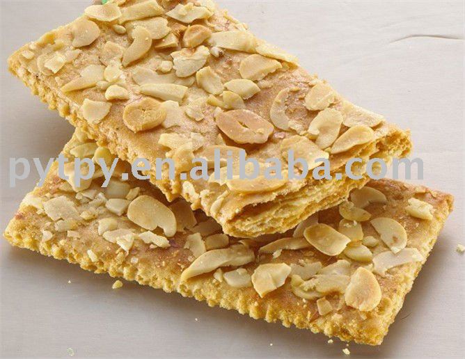 Tasty Crisp Biscuit