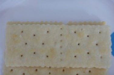 salt soda biscuit