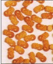 B59  Merlion Biscuit