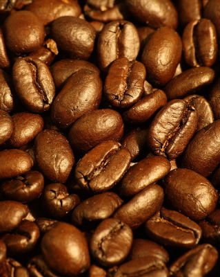 Indian Coffee Bean Arabica
