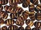 Cornflakes Coklat