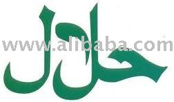HALAL FROZEN CHICKEN MEAT