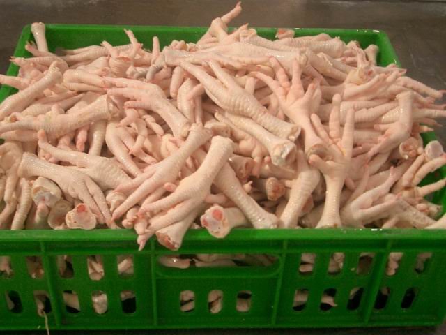 Chicken-feet for sale