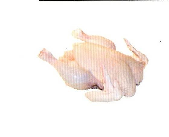 Whole Frozen chicken griller and broiler