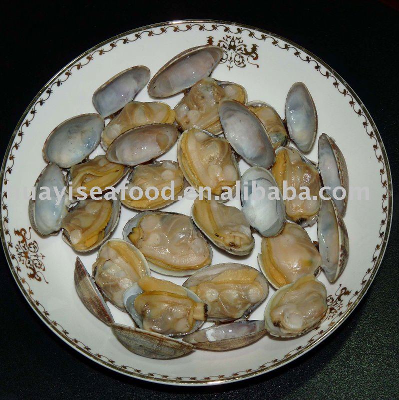 frozen  boiled clam seafood