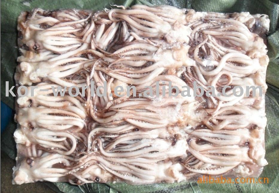squid tentacle