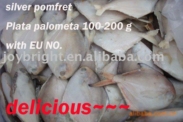 silver pomfret Plata palometa 100-200 g with EU NO.
