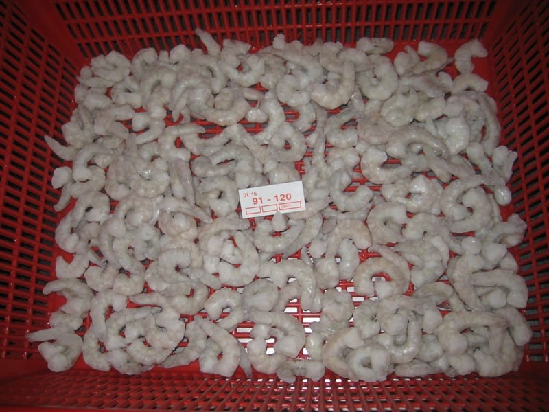 VANNAMEI SHRIMP P.D