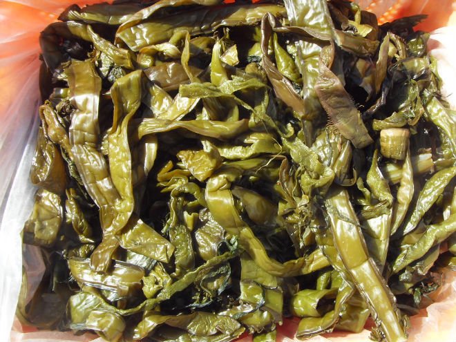  seaweed   stem 