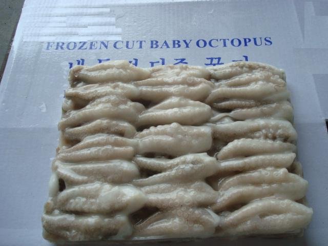 Frozen Cut Baby Octopus