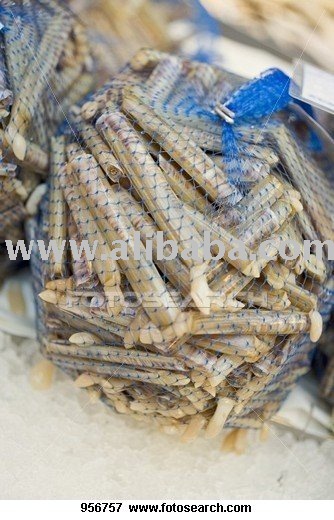 live razer clam