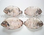 Pearl Spot FISH