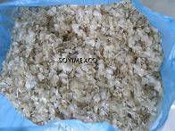 FISH SCALES AVAILABLE FOR SUPPLY