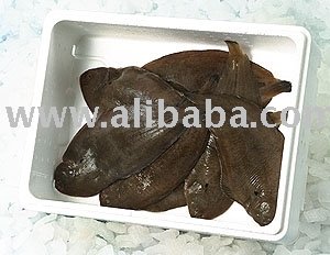 Dover Sole