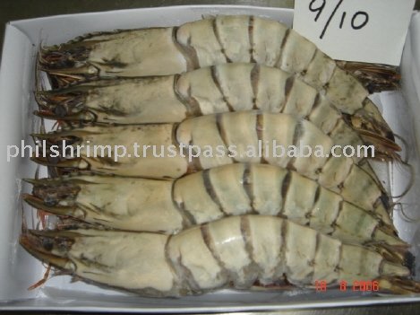 Frozen Black Tiger Prawn