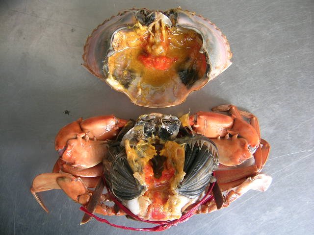 Roe & Egg Crab (Live)