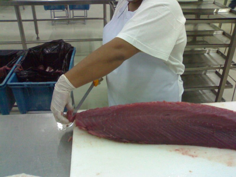  Processed   Tuna  Loins and  Tuna  Whole