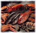 coast seafoods