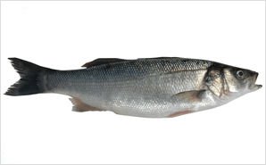 Sea Bass,Turkey price supplier - 21food