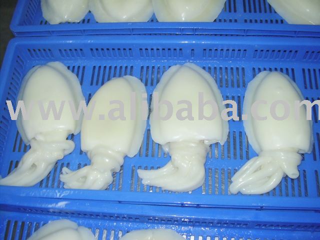 Sell Frozen Seafood From India