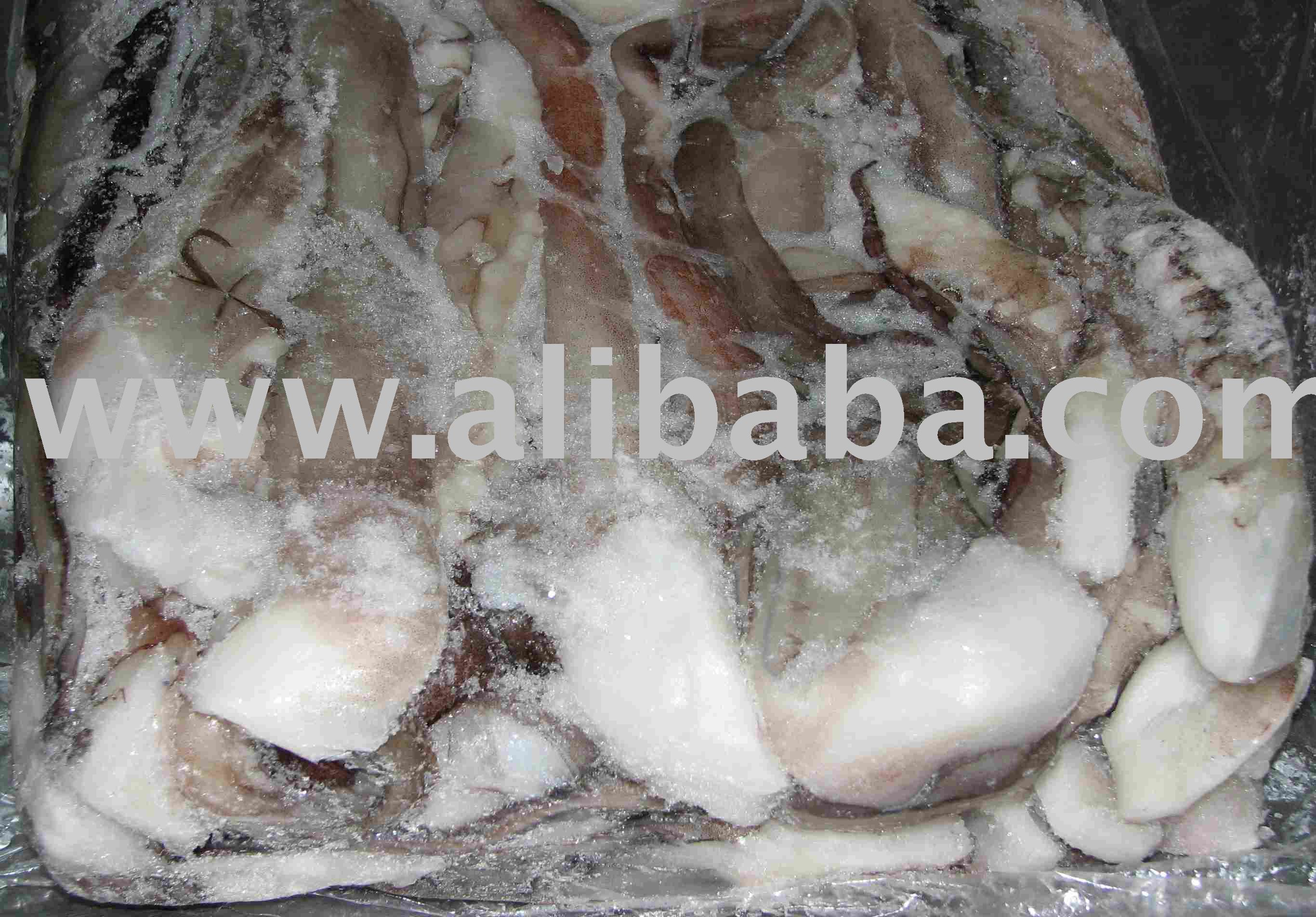 Fresh  frozen   tentacle s of giant squid (Dosidicus gigas)